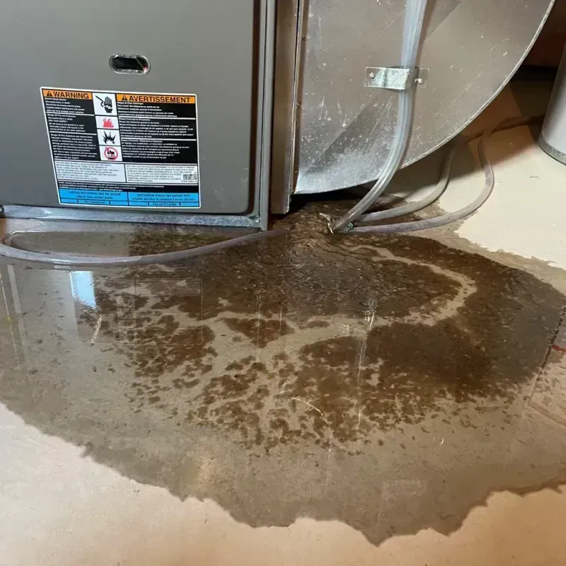 Appliance Leak Cleanup in Jones County, TX